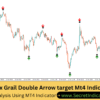 Forex Trading Setup Using MT4 Signals