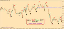 rsi forex indicator