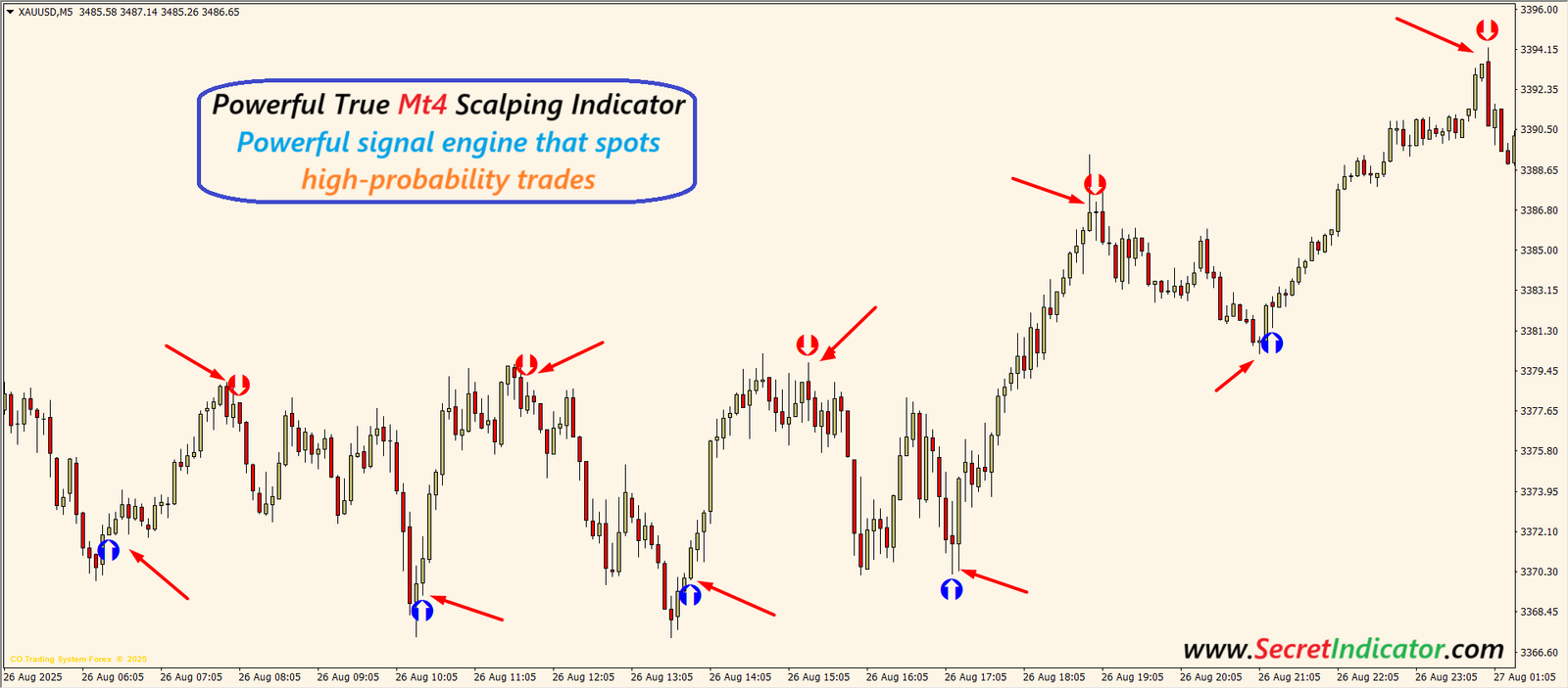 what is the best indicator for 5 minute scalping