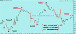 forex gold m5 mt4 indicator