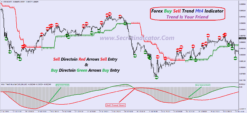 forex trading buy and sell explained